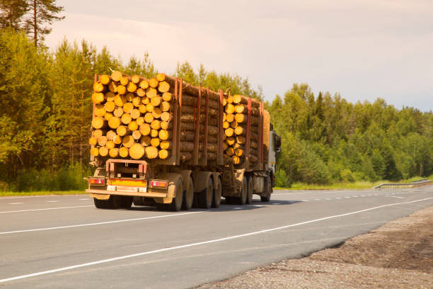 istock Logging truck in the summer going on the highway. 1172272979