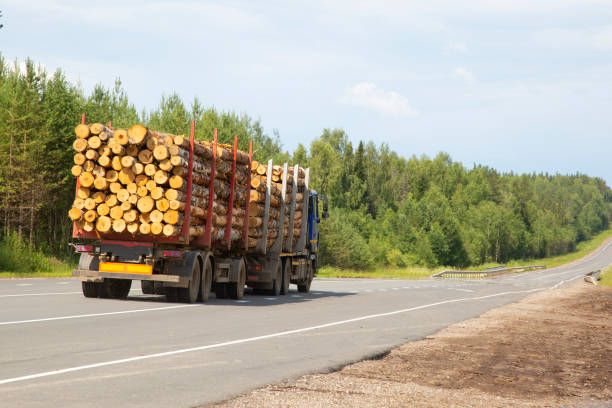 istock Logging truck in the summer going on the highway. 1172273116