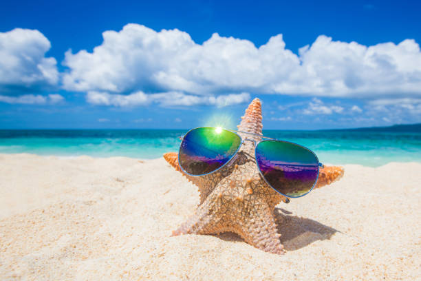 istock Starfish with sunglasses on beach 1172275723