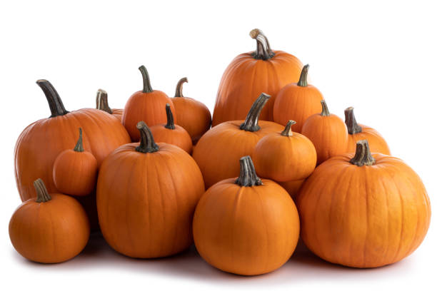 istock Heap of orange pumpkins 1172275893