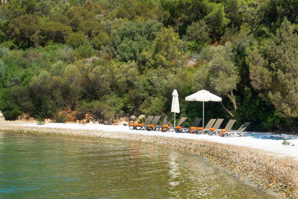 istock Beach chairs with umbrellas and beautiful sand beach 1172276021