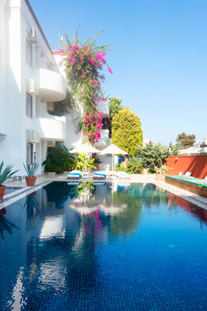 istock Modern Swimming Pool with garden 1172277464