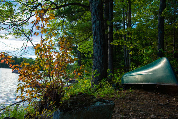 istock Green canoe by the lake in Canada 1172277704