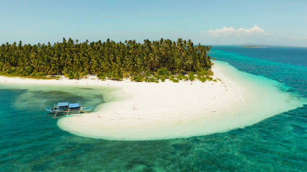 istock Tropical island with sandy beach. Balabac, Palawan, Philippines 1172277858