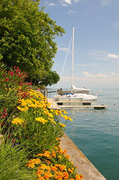istock Flowers Boats Lake Constance 117227958