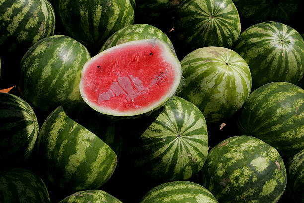 maduro rojo watermelons en el mercado - watermelon full length isolated circle fotografías e imágenes de stock