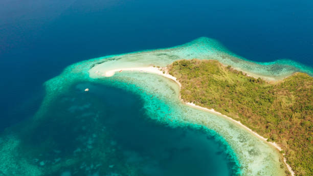istock tropical island with sandy beach, Philippines, Palawan 1172283576