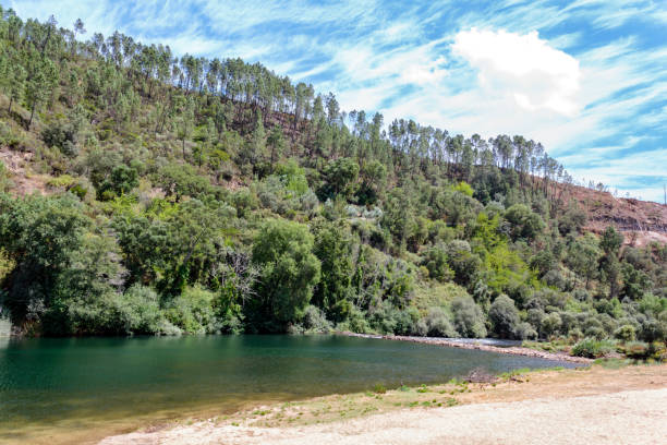 istock River Beach in January de Baixo, Portugal 1172285294