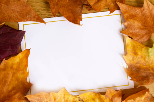 Autumn greeting card A blank card with copy space and gold border, surrounded with golden autumn leaves. thanksgiving holiday card stock pictures, royalty-free photos & images