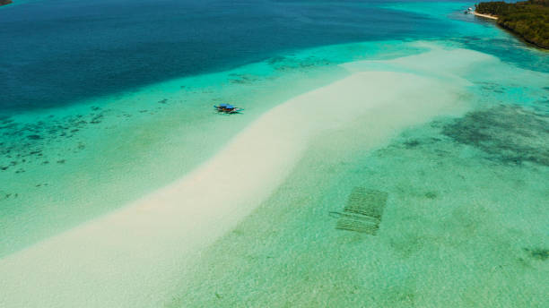 istock Sandy beach in the lagoon with turquoise water. Balabac, Palawan, Philippines 1172287018