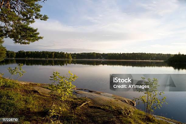 Letnimi - zdjęcia stockowe i więcej obrazów Lidingö - Lidingö, Bez ludzi, Brzask