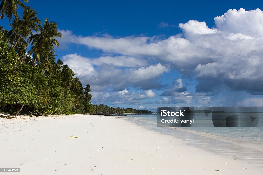 Playa de arena blanca y palmeras - Foto de stock de Actividades recreativas libre de derechos