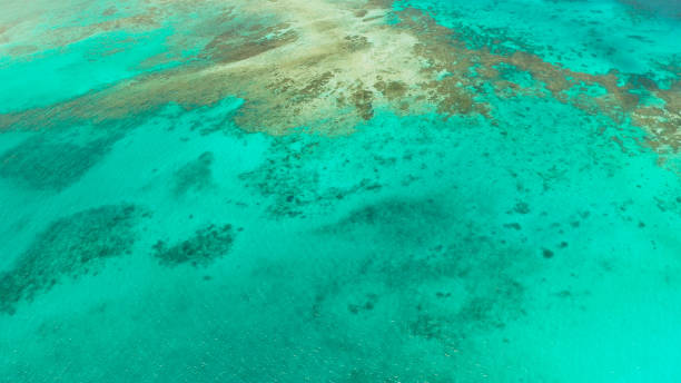 istock Transparent blue sea water in the lagoon 1172289221