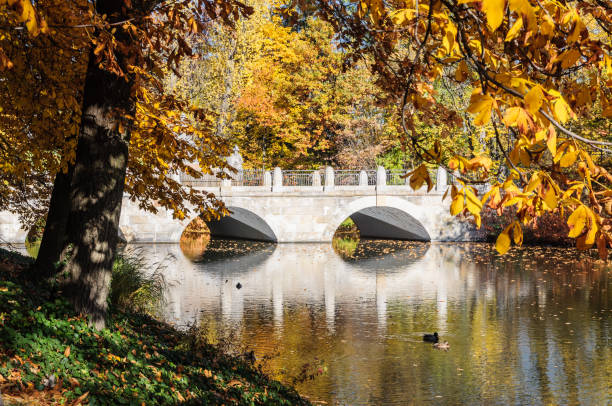 istock Autumn trees in Lazienki park, Warsaw 1172289963