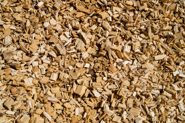 istock Woodchip solid fuel for Biomass plant 1172290643