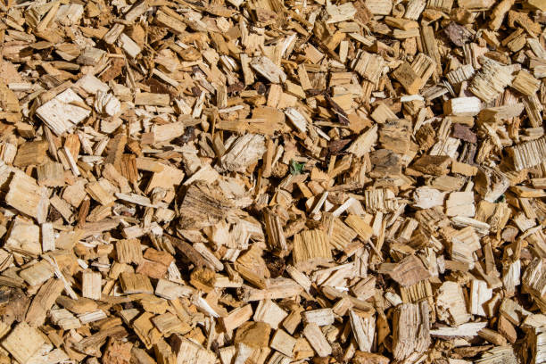 Woodchip solid fuel for Biomass plant