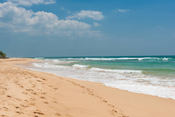 istock Indian Ocean coast on Sri Lanka 1172290811