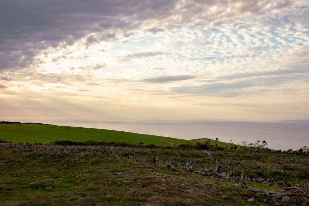 ciel nuageux de soirée au-dessus de la côte pittoresque de somerset. paysage anglais rural d'été. ciel de coucher du soleil. vue sur le canal de bristol, prairies vertes, ciel nuageux. tranquillité, bord de mer le soir. angleterre, royaume-uni - horizon over water england uk summer photos et images de collection