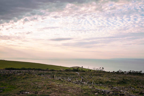 coucher du soleil au-dessus de la côte pittoresque de somerset. paysage anglais rural. ciel de coucher du soleil. vue sur le canal de bristol, prairies vertes, ciel nuageux. tranquillité, bord de mer le soir. angleterre, royaume-uni - horizon over water england uk summer photos et images de collection