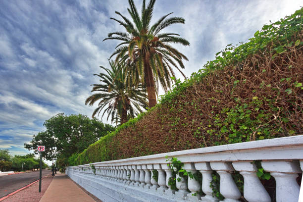 istock Horizontal view of elegant wall and hedge in Tucson 1172295911