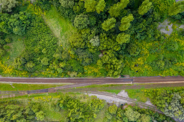 istock Aerial view of railroad 1172297327