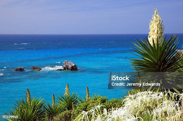 Bermuda Shoreline - Fotografie stock e altre immagini di Acqua - Acqua, Ambientazione esterna, Caratteristica costiera