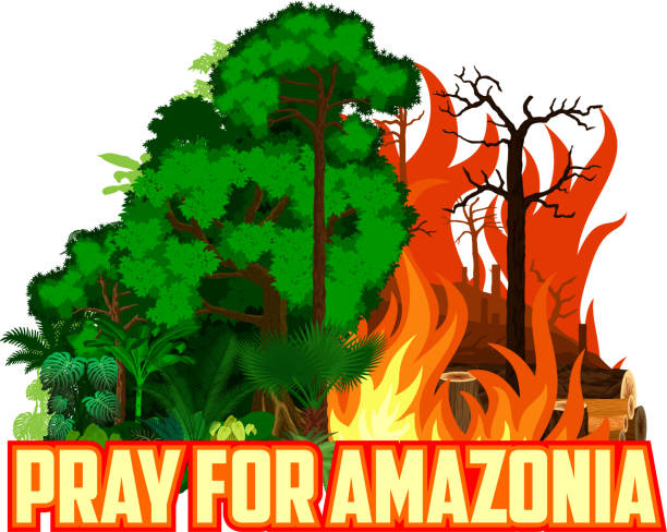 illustrations, cliparts, dessins animés et icônes de priez pour amazonia save green jungle rainforest - deforestation concept landscape vector illustration - deforestation