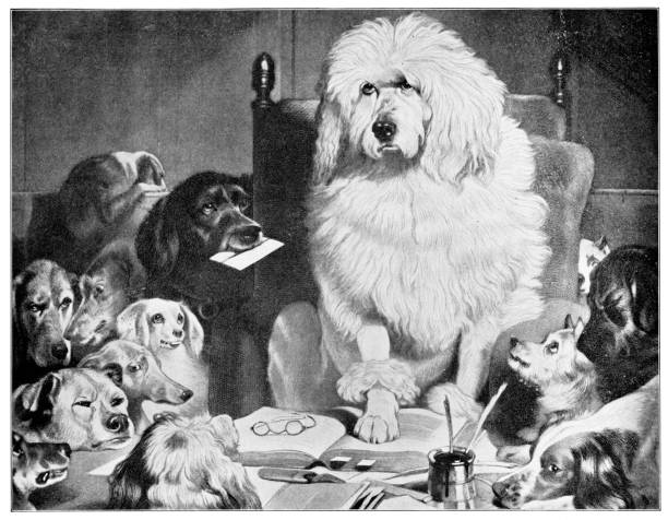 prozess vor jury oder laying down the law von sir edwin henry landseer - 19. jahrhundert - jury entertainment stock-grafiken, -clipart, -cartoons und -symbole