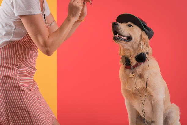 Dog owner and dog in Training Class