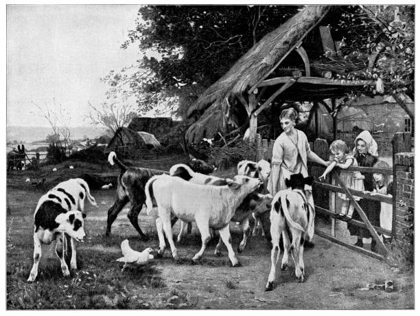Greedy Calves by Otto Weber (circa 19th century). Vintage etching circa late 19th century.