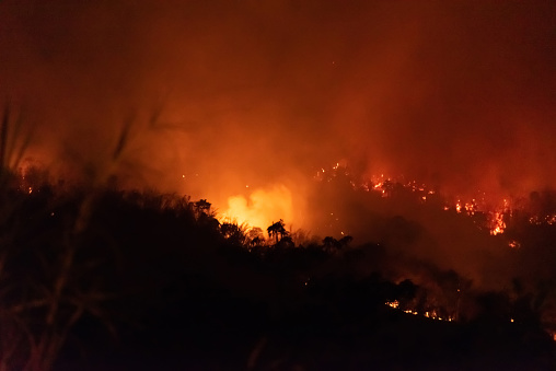 Amazon forest fire disater problem.Fire burns trees in the mountain at night.
