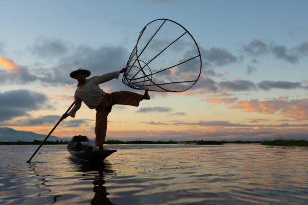 pescador de intha no lago inle no nascer do sol, enfileiramento tradicional do pé do inle do pescador de intha, estado de shan, myanmar. - inle lake agriculture traditional culture farmer - fotografias e filmes do acervo