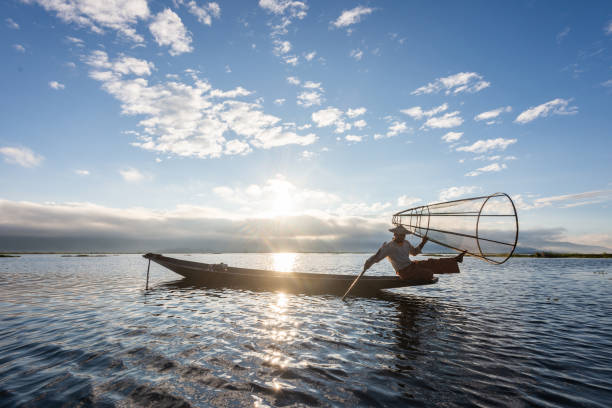 pescador de intha no lago inle no nascer do sol, enfileiramento tradicional do pé do inle do pescador de intha, estado de shan, myanmar. - inle lake agriculture traditional culture farmer - fotografias e filmes do acervo