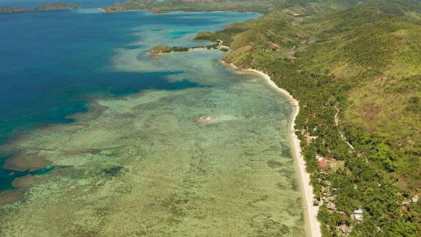 istock tropical island with blue lagoon 1172305499