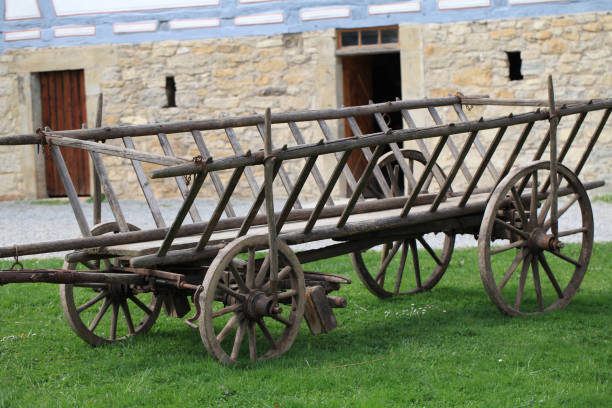 istock Old empty farm wagon or rack wagon standing on a meadow 1172311484