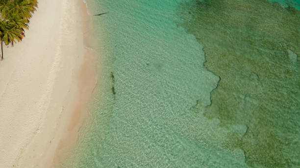 istock torpical island with white sandy beach, top view 1172313872