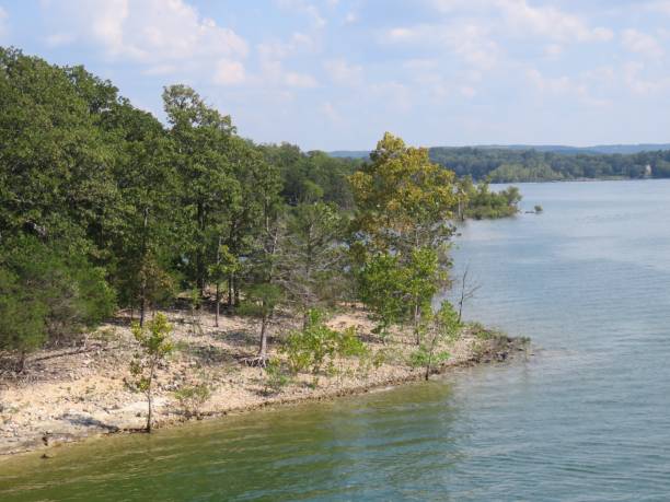 istock Table Rock Lake, Branson, Missouri--shoreline 1172315317