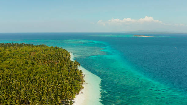 istock Tropical island with sandy beach. Balabac, Palawan, Philippines 1172315553