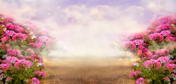 Photo of Fantasy summer panoramic photo background with rose field and misty path leading to mysterious glow. Idyllic tranquil morning scene. Road goes across hills to fairytale.