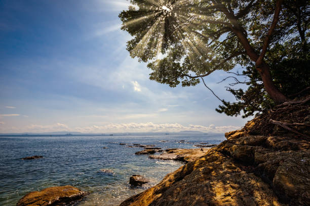 30+ Uraga Kanagawa Fotos Fotografías de stock, fotos e imágenes libres