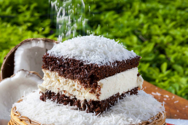 porcja czekoladowego ciasta spożywczego - pie coconut dessert plate zdjęcia i obrazy z banku zdjęć