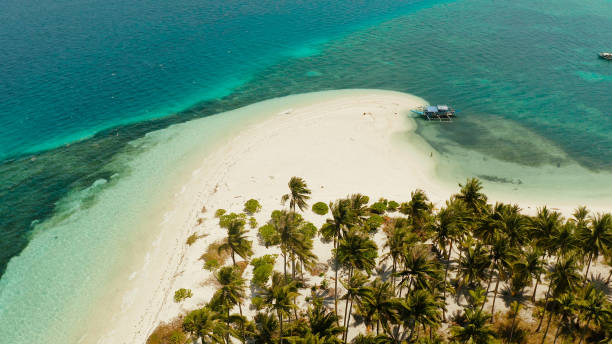 istock Tropical island with sandy beach. Balabac, Palawan, Philippines 1172322033
