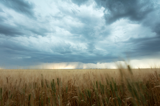 Driving along high way 363 , south of Moose Jaw. Prairie storm approaching. Image taken from a tripod.