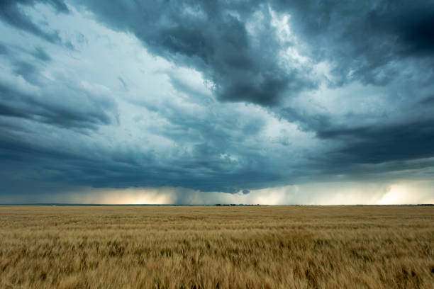 prairie storm saskatchewan kanada - vanishing point summer cloud sky stock-fotos und bilder