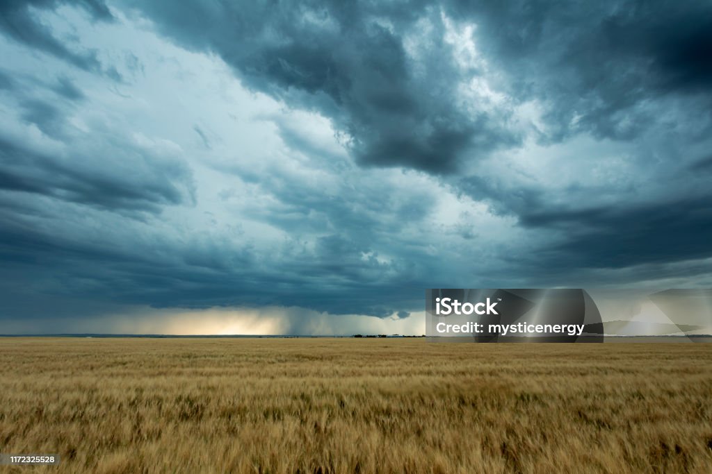 Prairie Storm Saskatchewan Canada Driving along high way 363 , south of Moose Jaw. Prairie storm approaching. Image taken from a tripod. Rain Stock Photo