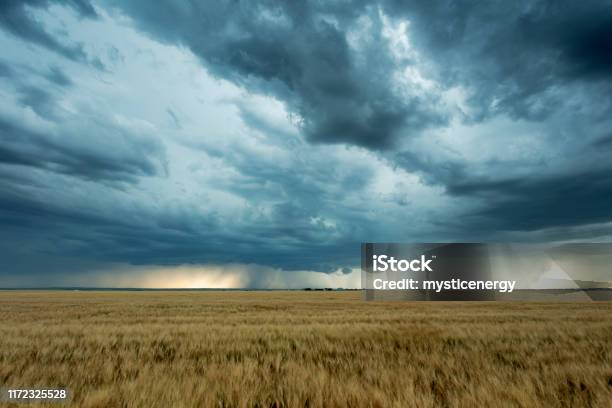 Prairie Storm Saskatchewan Canada Stock Photo - Download Image Now - Rain, Agricultural Field, Storm