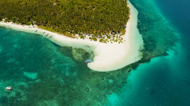 istock Tropical island with sandy beach. Balabac, Palawan, Philippines 1172325694