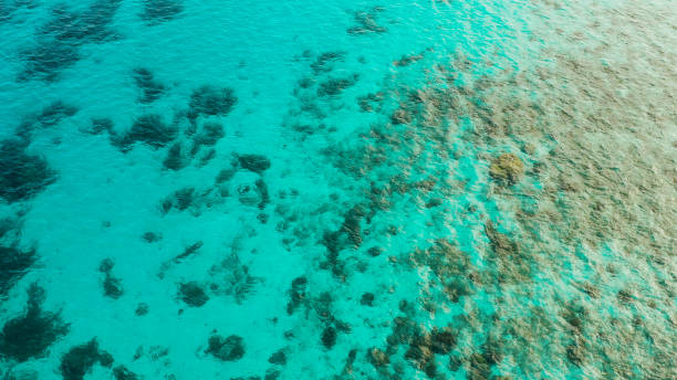 istock Transparent blue sea water in the lagoon 1172327749