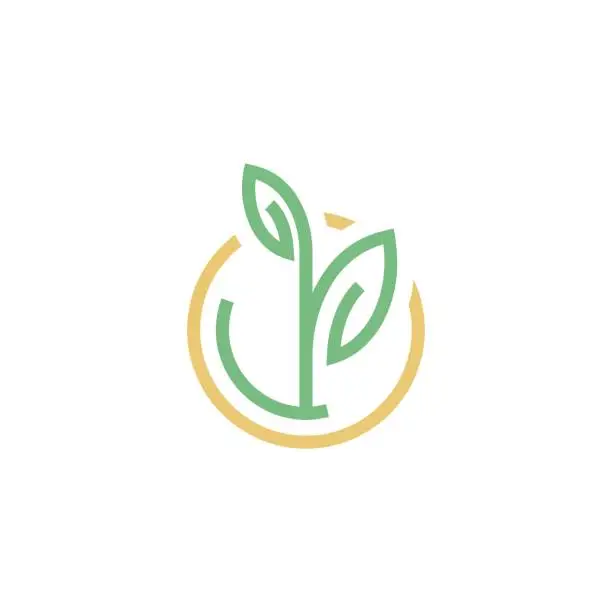 Vector illustration of Investment / Growth design inspiration with Leaves and Coin