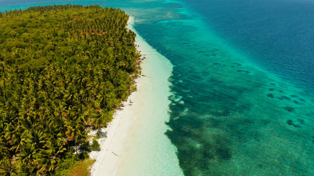 istock Tropical island with sandy beach. Balabac, Palawan, Philippines 1172329975